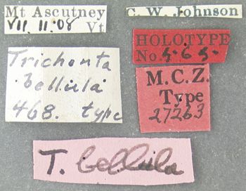 Media type: image;   Entomology 27263 Aspect: labels